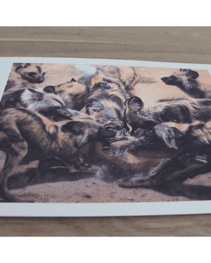 PRINT Les Méandres