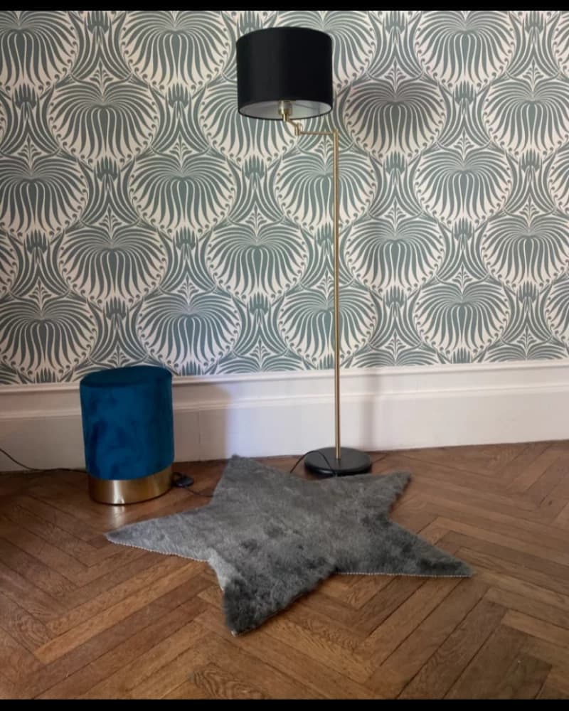Tapis Etoile Tout Doux
