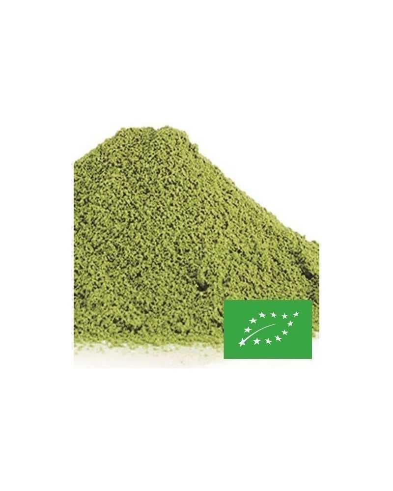thé en vrac matcha taishan bio bocal 200 gr